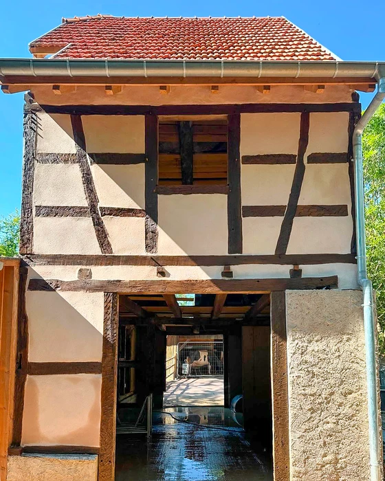 Bâtiment agricole traditionnel à colombages, style alsacien
